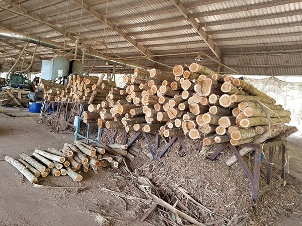 Gỗ keo, gỗ Teak xẻ